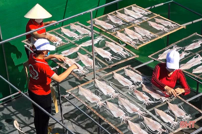 Đặc sản mực một nắng Cửa Nhượng và hành trình vươn tới OCOP 3 sao