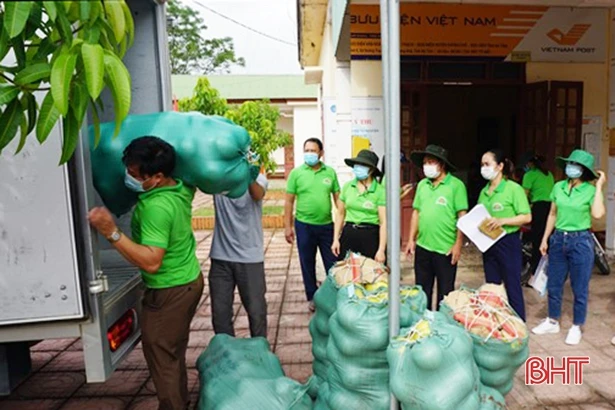 Hội Nông dân Hà Tĩnh kết nối tiêu thụ gần 86 tấn bưởi Phúc Trạch