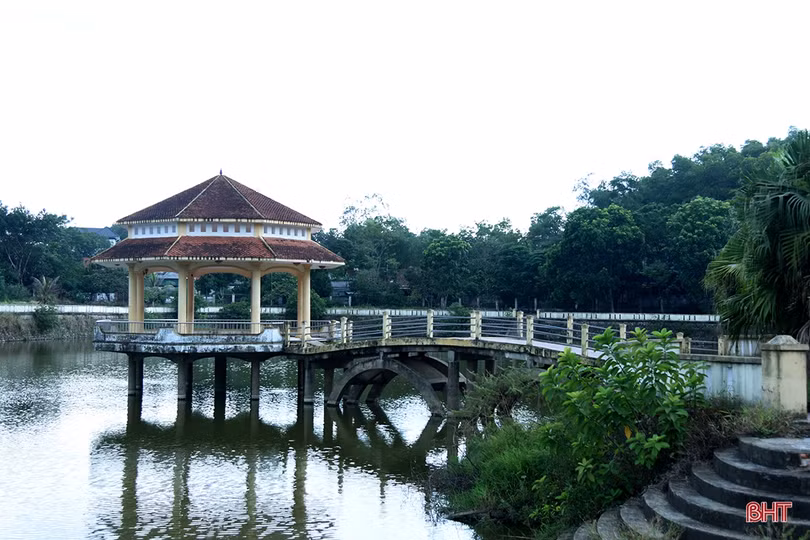 Tùng Ảnh “giữ vững chí khí chiến đấu” trên chặng đường mới