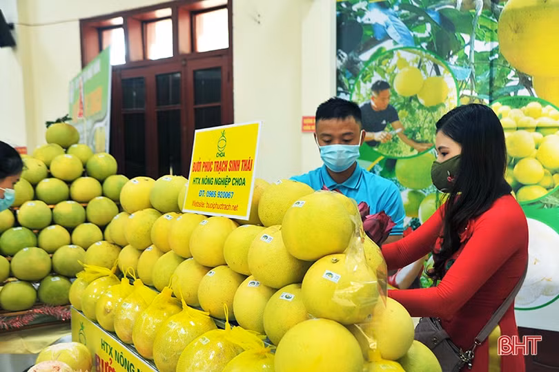 Ấn tượng những gian hàng tại Hội nghị xúc tiến thương mại, kết nối tiêu thụ bưởi Phúc Trạch