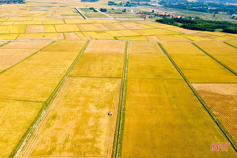 Những gam màu sáng trong “bức tranh” kinh tế - xã hội Hà Tĩnh giữa đại dịch