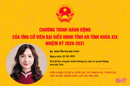 Chương trình hành động của ứng cử viên đại biểu HĐND tỉnh khóa XIX Nguyễn Thị Mai Thủy 