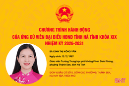 Chương trình hành động của ứng cử viên đại biểu HĐND tỉnh Đinh Thị Hồng Vân