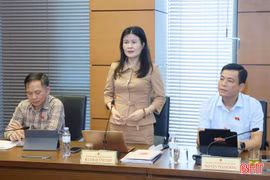 Phát huy vai trò động lực của dự án hạ tầng chiến lược và các cực tăng trưởng mới