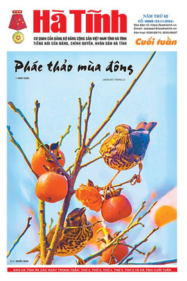 Báo in Hà Tĩnh cuối tuần ngày 23/11/2024