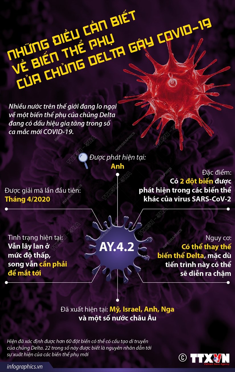 [Infographic] Những điều cần biết về biến thể phụ của chủng Delta gây COVID-19