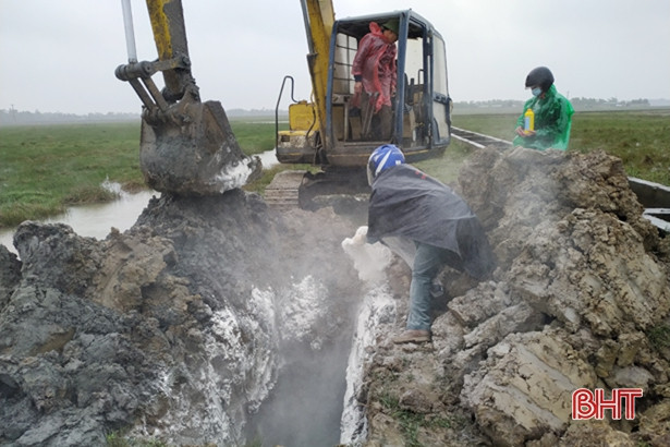 Hơn 1.000 con bị nhiễm bệnh, Hà Tĩnh cấp bách phòng dịch viêm da nổi cục trên trâu bò ảnh 2 Hơn 1.000 con bị nhiễm bệnh, Hà Tĩnh cấp bách phòng dịch viêm da nổi cục trên trâu bò