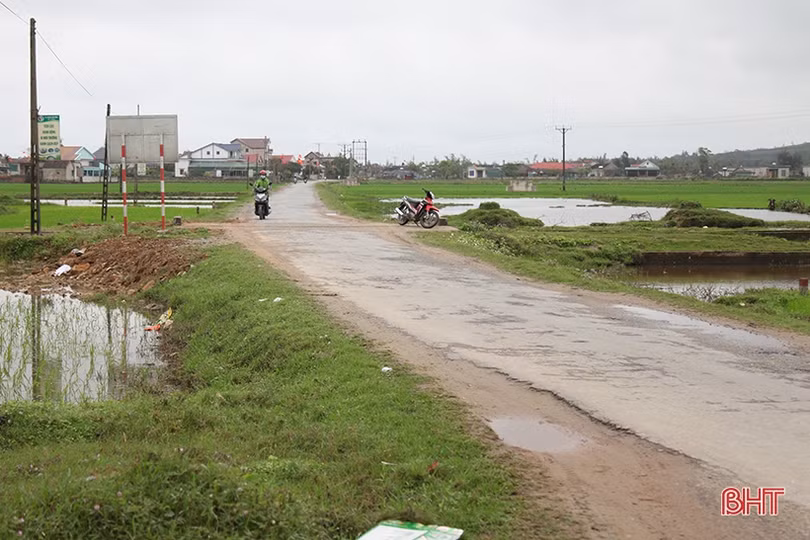 Tập trung tháo gỡ vướng mắc, đảm bảo tiến độ tuyến đường ven biển Kỳ Xuân - Kỳ Ninh