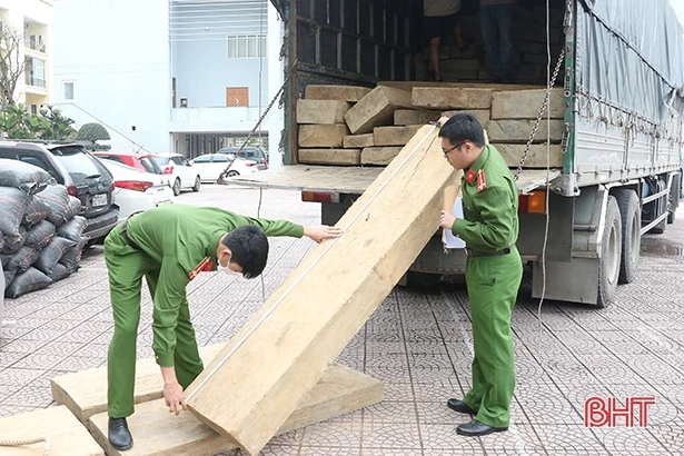 Bắt giữ xe tải vận chuyển 10m³ gỗ không rõ nguồn gốc qua Hà Tĩnh
