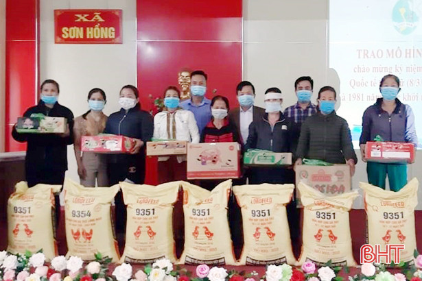 Trao 3.000 con gà giống, 100 cây ổi cho chị em phụ nữ nghèo Hương Sơn