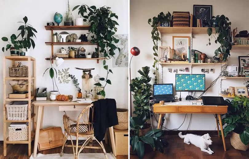 Ý tưởng trang trí giúp bàn làm việc của bạn hòa vào thiên nhiên