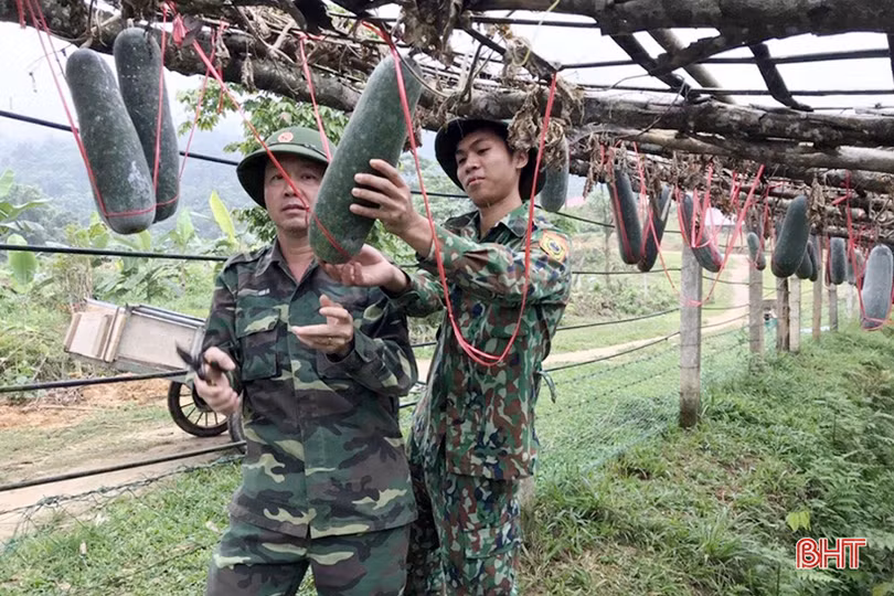 Xanh mướt vườn rau, ao hồ đầy cá ở đồn biên phòng vùng biên Hà Tĩnh