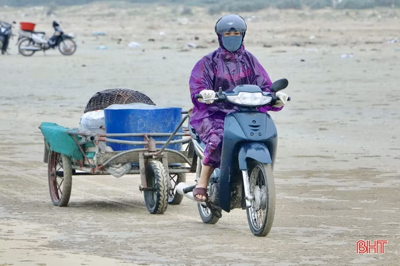 Ngư dân xã bãi ngang Hà Tĩnh trúng đậm cá trích, 2 ngày thu 15 tấn