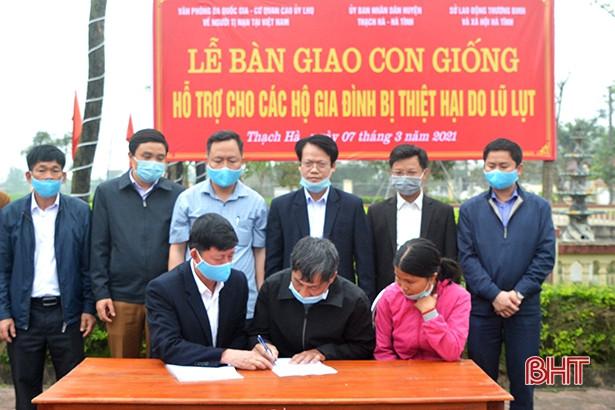Trao 140 con lợn và bê giống cho người dân vùng lũ Thạch Hà