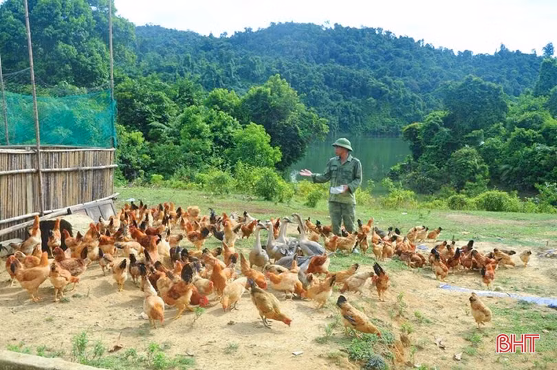 Xanh mướt vườn rau, ao hồ đầy cá ở đồn biên phòng vùng biên Hà Tĩnh