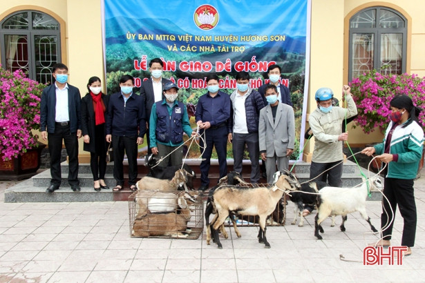 16 hộ nghèo ở Hương Sơn được hỗ trợ dê giống