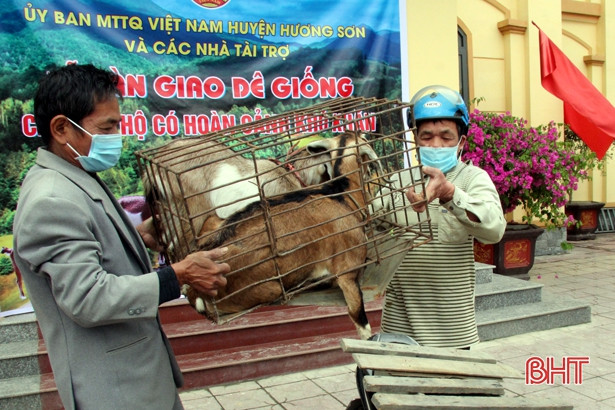 16 hộ nghèo ở Hương Sơn được hỗ trợ dê giống