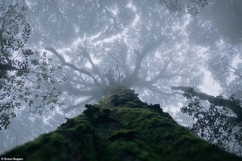 Mê mẩn loạt tác phẩm đoạt giải ảnh quốc tế Frank Hurley