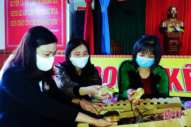 Trao 3.000 con gà giống, 100 cây ổi cho chị em phụ nữ nghèo Hương Sơn