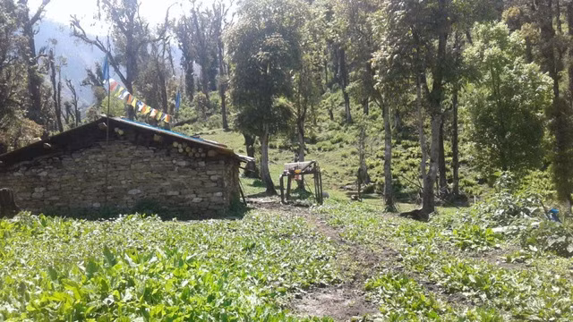 Cô gái Việt kể những điều lạ lùng ở đất nước “chẳng bao giờ cần khóa cửa”