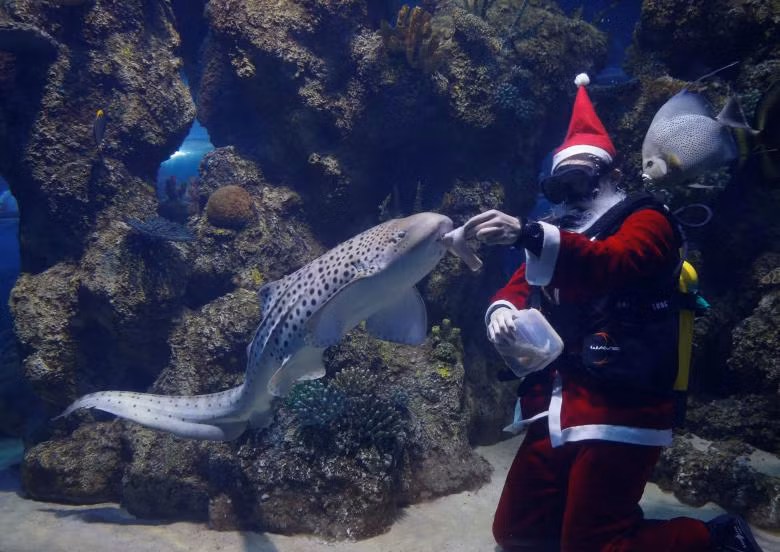 ong gia noel hien dien khap noi tren the gioi