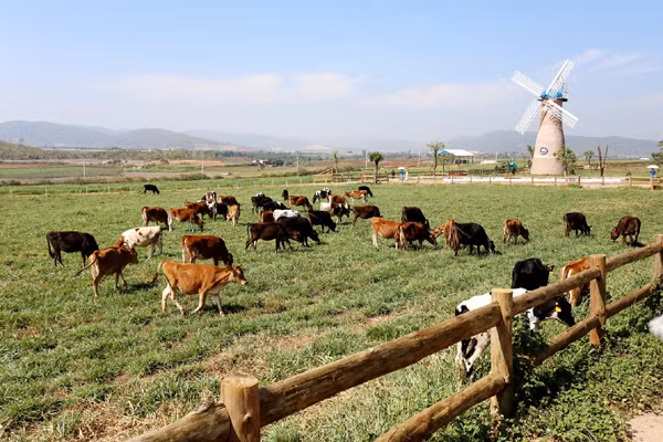 vinamilk 3 nam lien tiep dung dau bang xep hang top 10 doanh nghiep niem yet uy tin