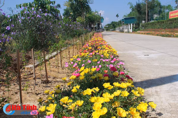 photo dep me hon nhung duong hoa nong thon moi cam yen