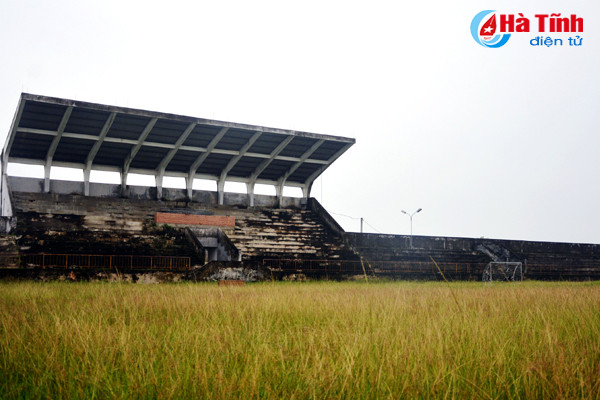 san van dong huyen thanh noi chan tha gia suc