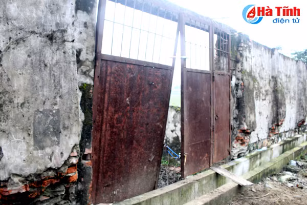 san van dong huyen thanh noi chan tha gia suc