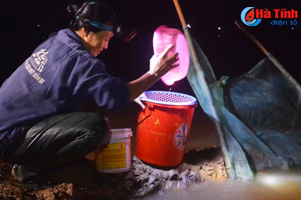 ve duc vinh xem dan hot loc troi