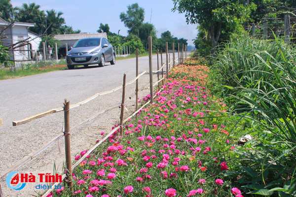 photo dep me hon nhung duong hoa nong thon moi cam yen