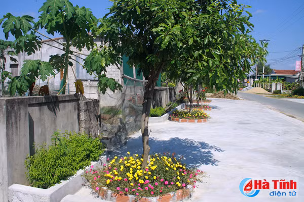 photo dep me hon nhung duong hoa nong thon moi cam yen