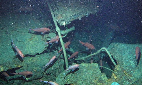 Xác tàu ngầm AE1 ở độ sâu 305 mét dưới đáy biển. Ảnh: Scribb. phat hien xac tau ngam 800 tan mat tich hon mot the ky