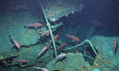 phat hien xac tau ngam 800 tan mat tich hon mot the ky