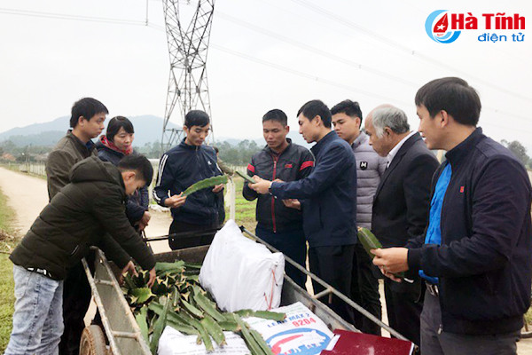 ra mat mo hinh 12 000 goc thanh long ruot do cua doan vien thach ha