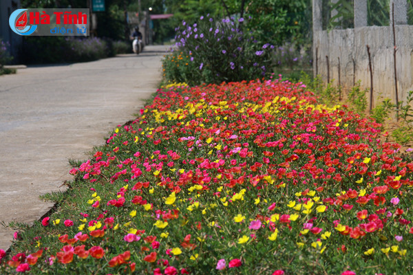 photo dep me hon nhung duong hoa nong thon moi cam yen