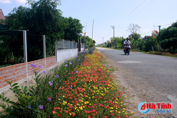 photo dep me hon nhung duong hoa nong thon moi cam yen