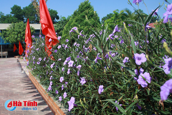 photo dep me hon nhung duong hoa nong thon moi cam yen