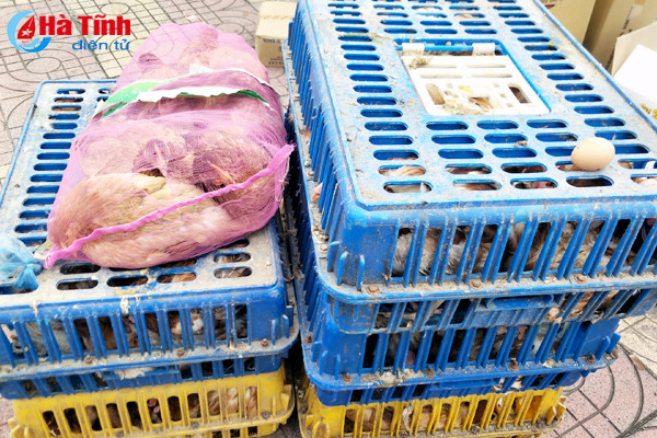 bat xe tai cho nhieu gia cam thit bo kho khong ro nguon goc