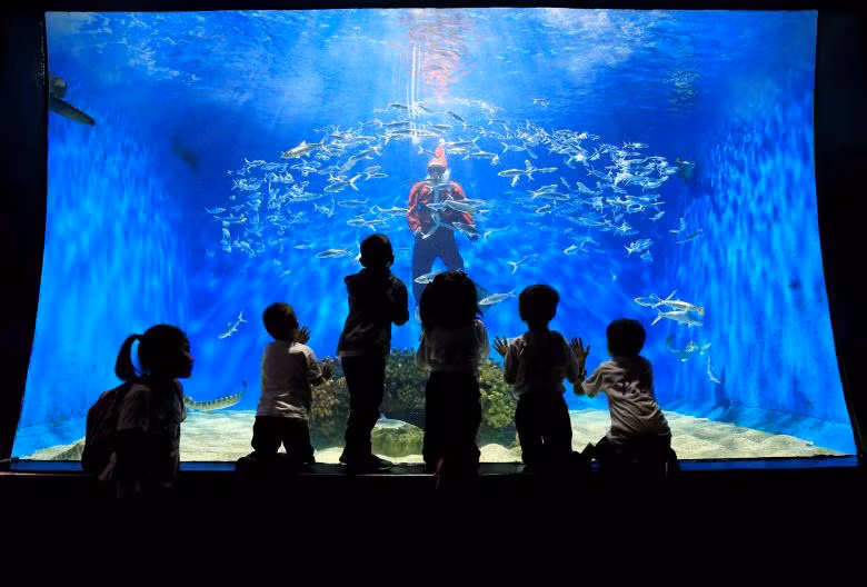 ong gia noel hien dien khap noi tren the gioi