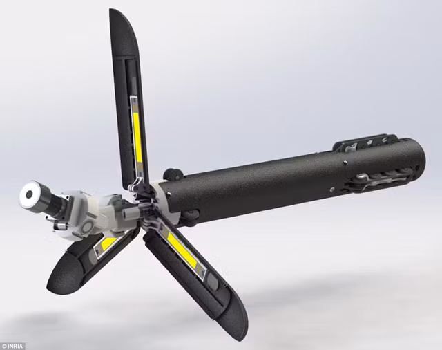 kham pha can phong bi mat trong kim tu thap ai cap