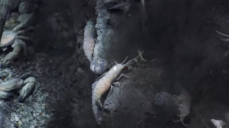 co gi o noi sau nhat trai dat