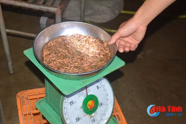 ve duc vinh xem dan hot loc troi