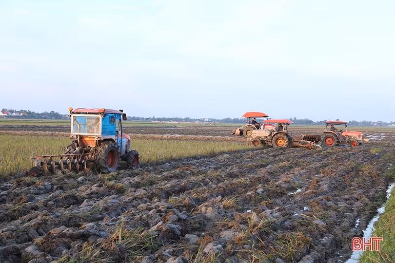 Hà Tĩnh phát triển nông nghiệp theo hướng hàng hóa quy mô lớn