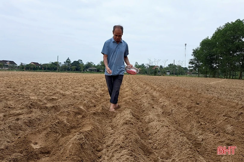 Nông dân Nghi Xuân ra đồng gieo trỉa ngô vụ xuân năm 2023