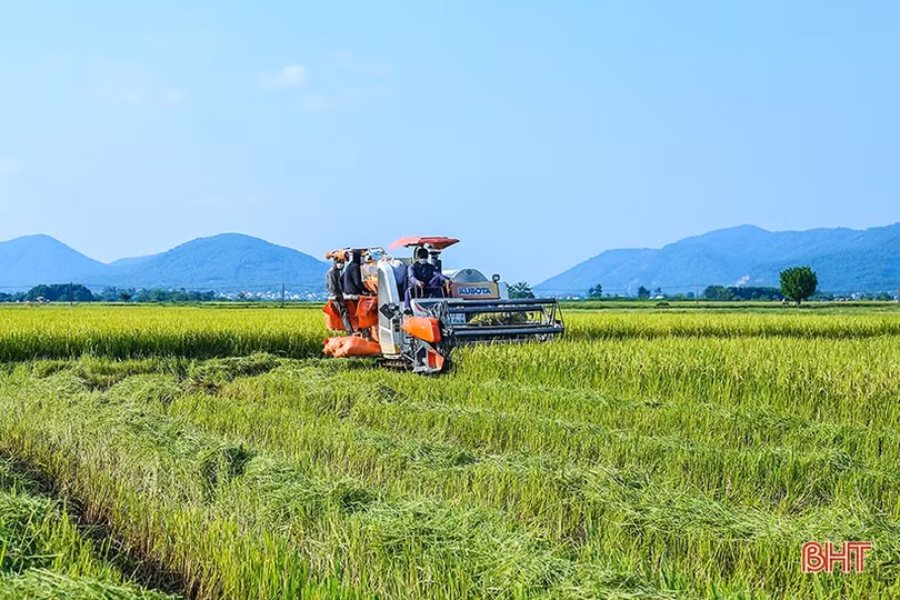 Hà Tĩnh phát triển nông nghiệp theo hướng hàng hóa quy mô lớn