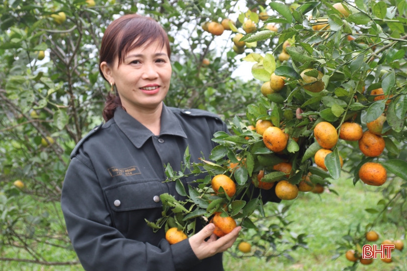 Người Hà Tĩnh gửi gắm ước vọng năm mới