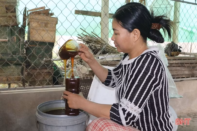 Làng mật mía hơn 50 năm tuổi ở Hà Tĩnh đỏ lửa ngày đêm vẫn “cháy hàng”