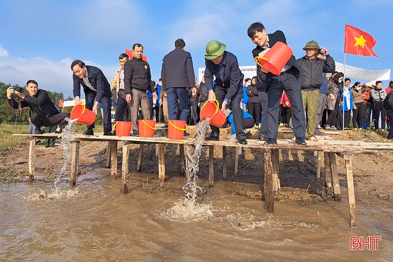 Thả 2 tấn cá giống xuống Vực Rào ở Nghi Xuân 