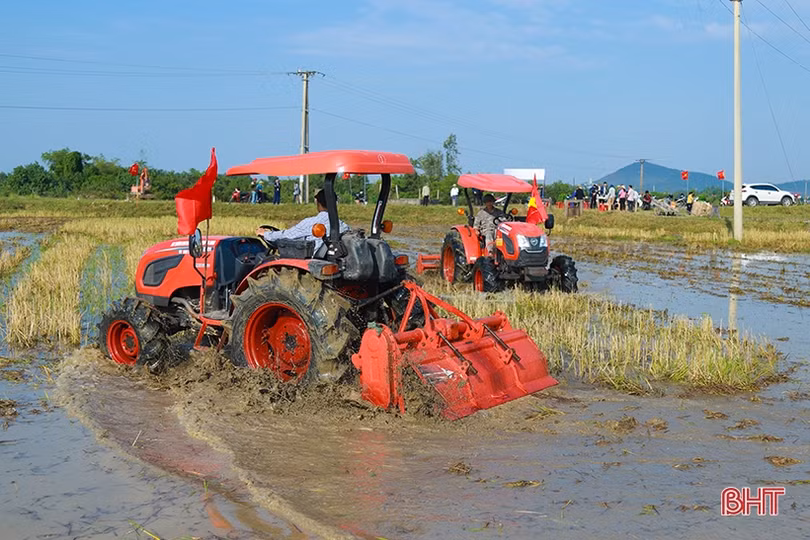Hà Tĩnh phát triển nông nghiệp theo hướng hàng hóa quy mô lớn